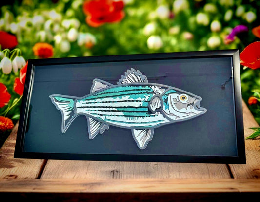 white bass